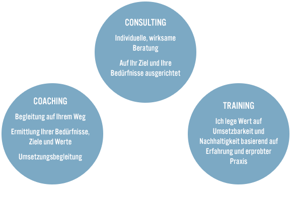 Coaching Consulting Training
